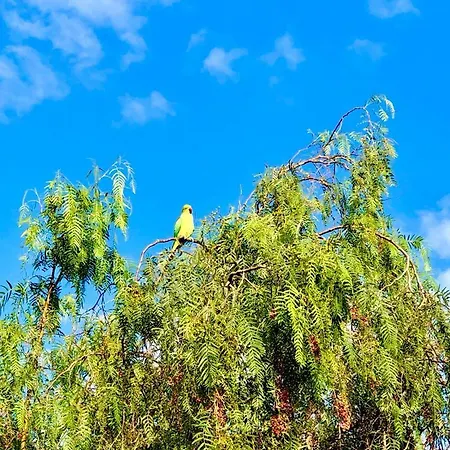 דירה Apart.relax